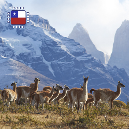 Top Up Chile 1GB (7 days)