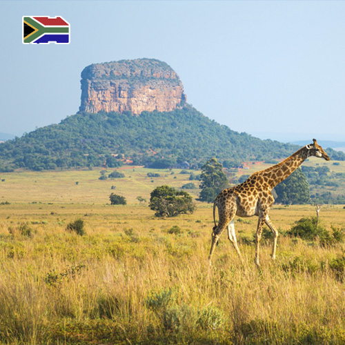 [WW_901O_STACK_ONEOFF_ZAF_1GB_30D] Data SIM Card South Africa 1GB (30 days)