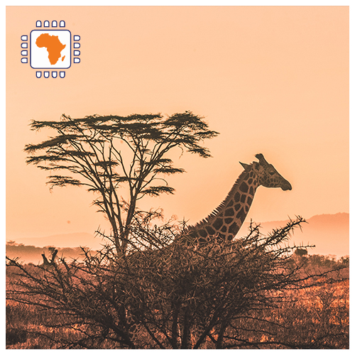 [WW_901O_STACK_ONEOFF_AFRICA2_3GB_15D] Data SIM Card Africa 3GB (15 days)